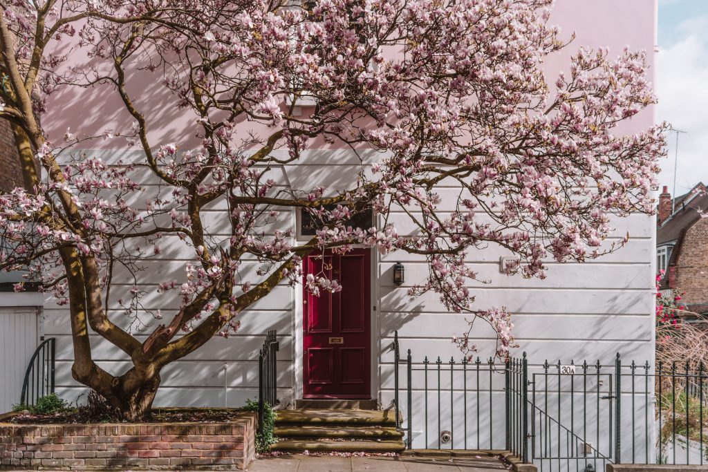 Finding the Best Blossom in London Postcards By Hannah